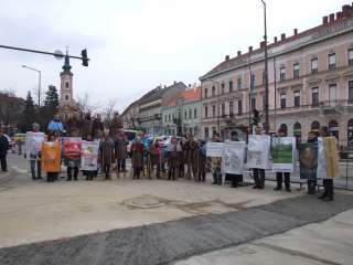 2013.02.09. Farsangi felvonulás 022.JPG 2013.02.09. Farsangi felvonulás 022.JPG